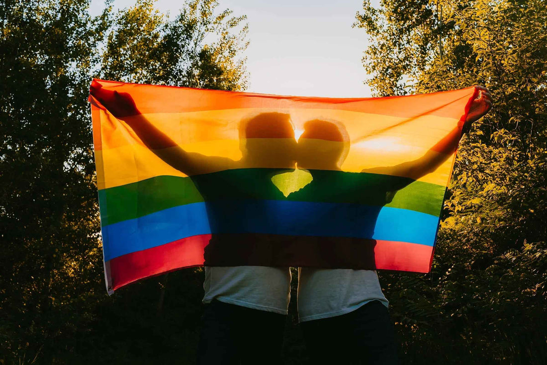Pride in the Face of Erasure: Defending Our Rights in a Hostile Political Climate - Pride Majic