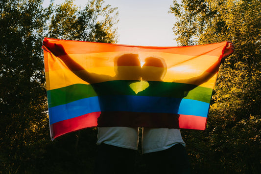 Pride in the Face of Erasure: Defending Our Rights in a Hostile Political Climate