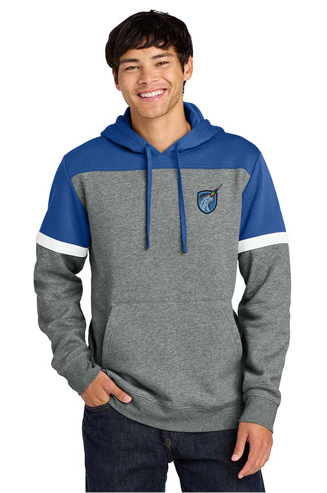Man wearing a gray and blue hoodie with a TCQHA on a white background Pride majic print on demandf